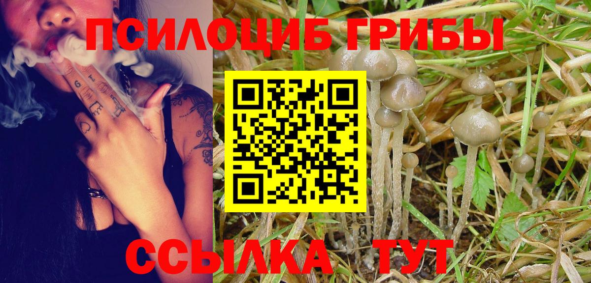 Галлюциногенные грибы мицелий  Псилоцибиновые грибы мицелий  Электросталь  Вход с VPN 
