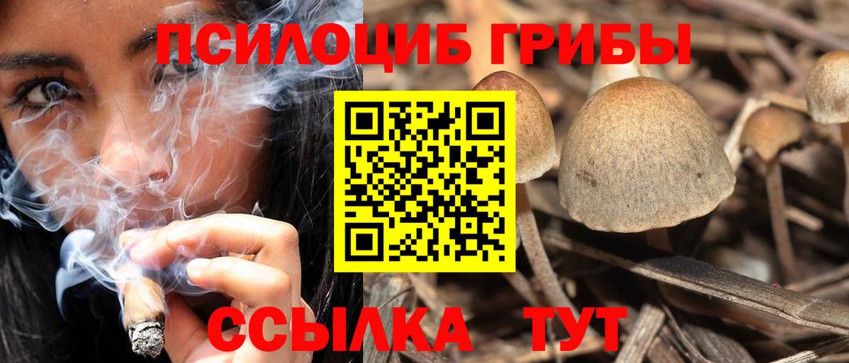 Галлюциногенные грибы MAGIC MUSHROOMS Электросталь